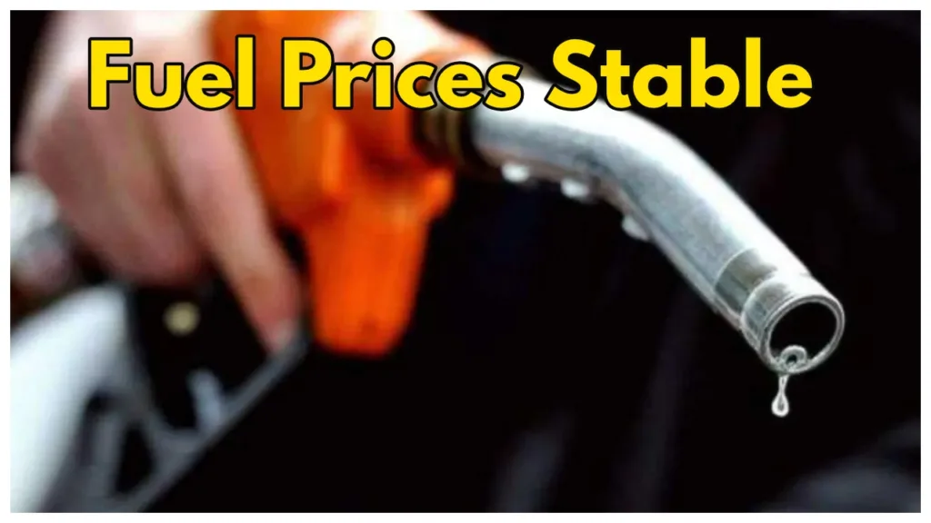 Petrol, Diesel Rates Unchanged: Check Latest Rates Across India