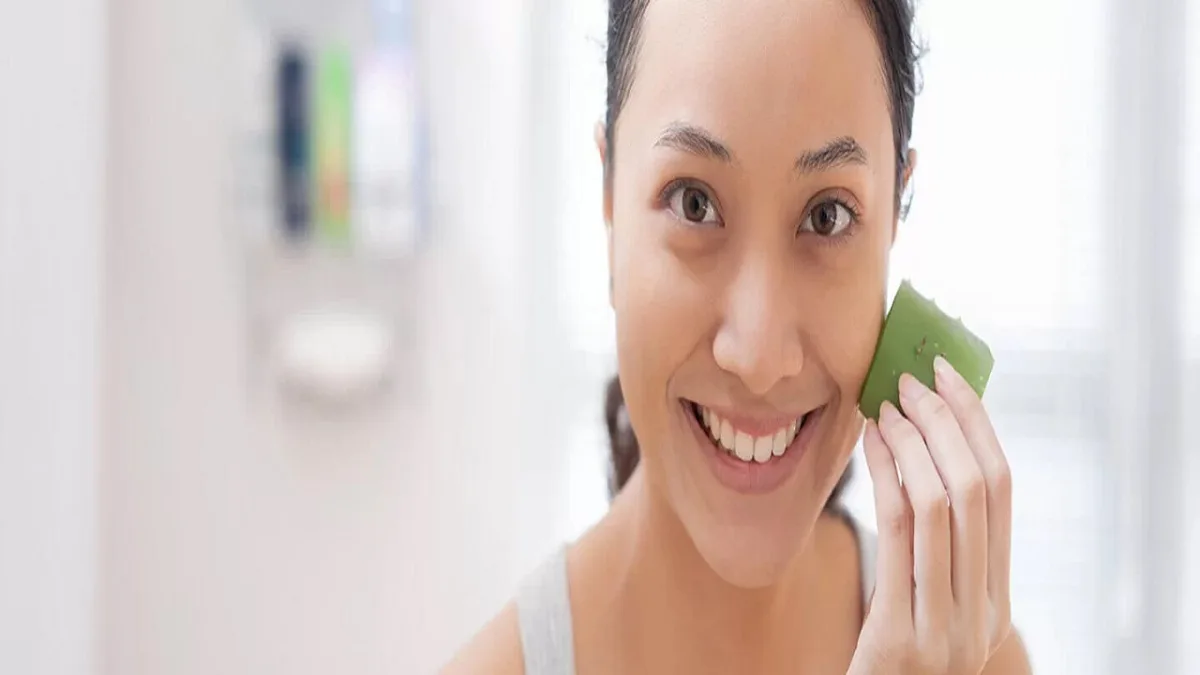 Aloe Vera Everything About The Use And Effects Of The Medicinal Plant
