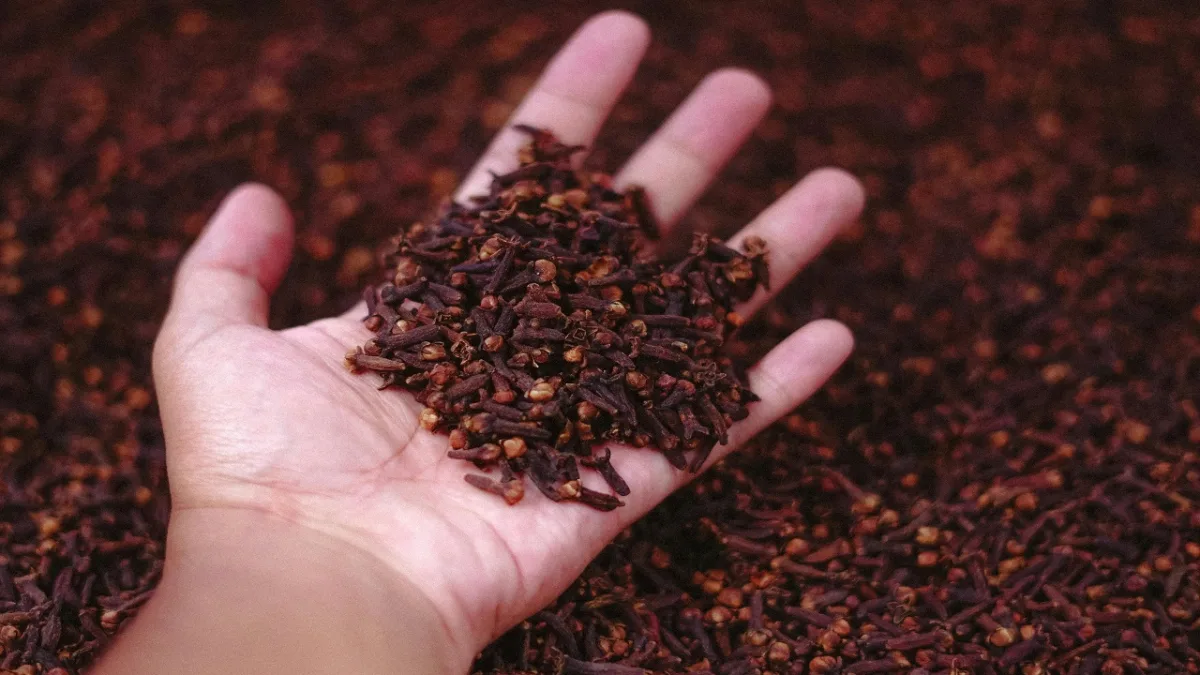 Clove For Toothaches And Digestion