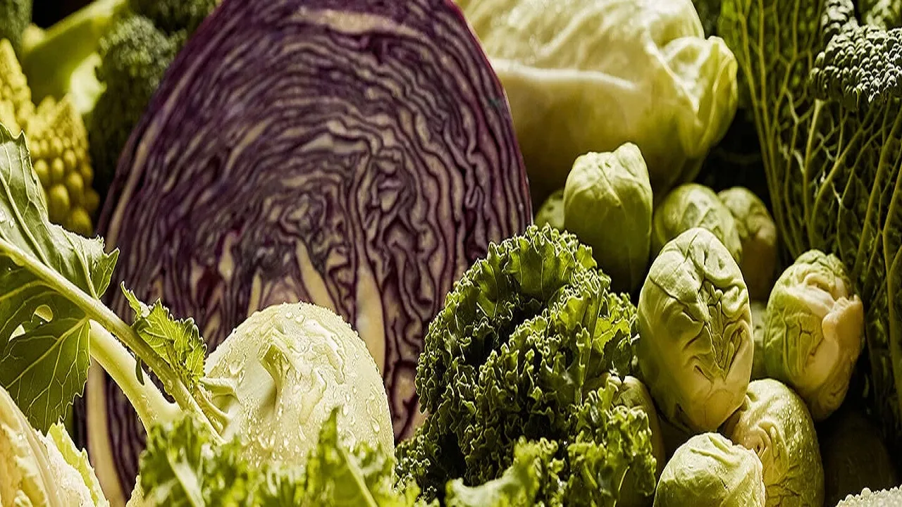 Cool cabbage: The best cabbage...