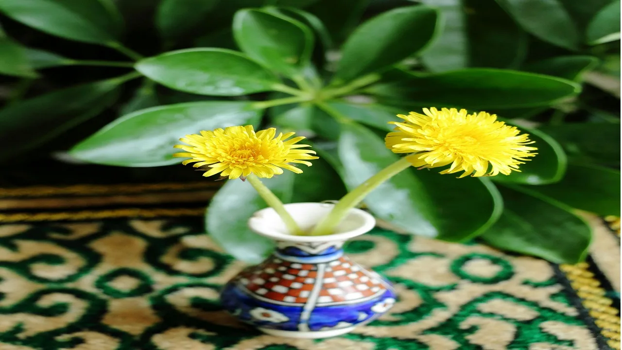 Eco-Friendly Home Hacks for