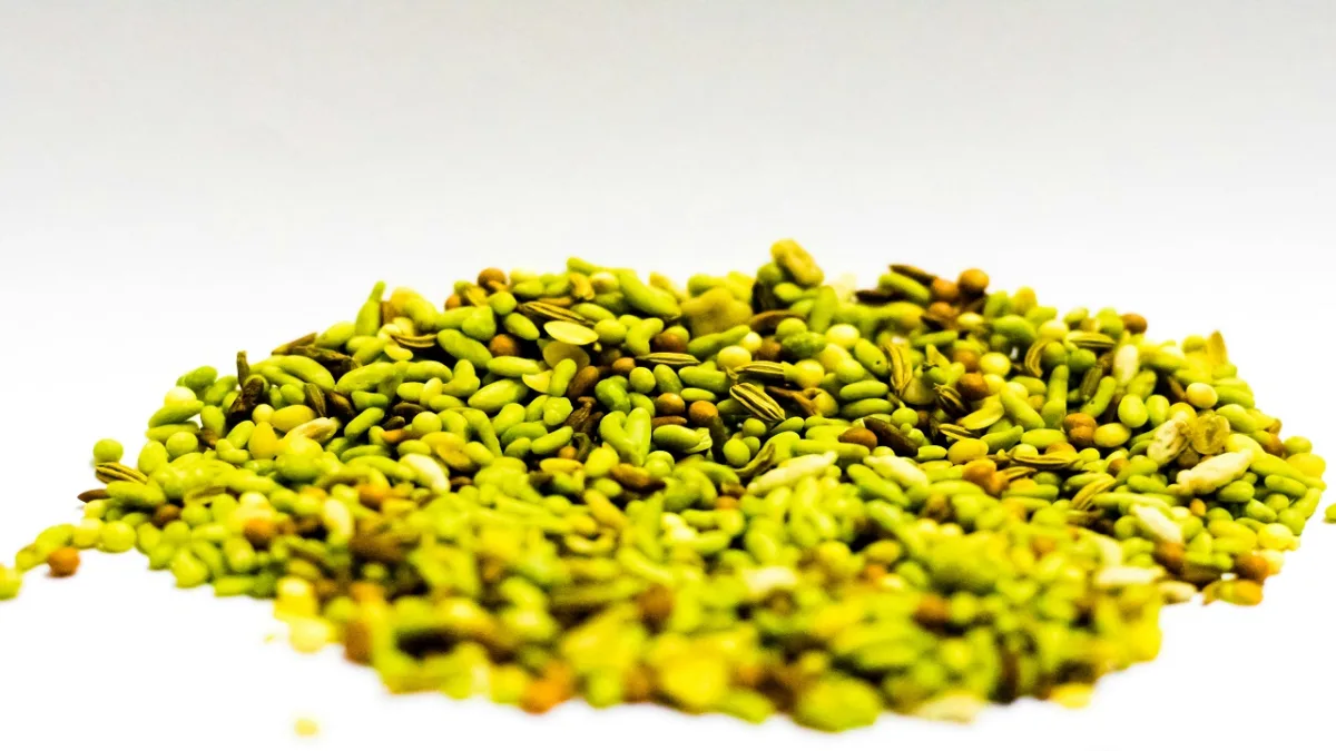 Fennel For Digestion And Gas