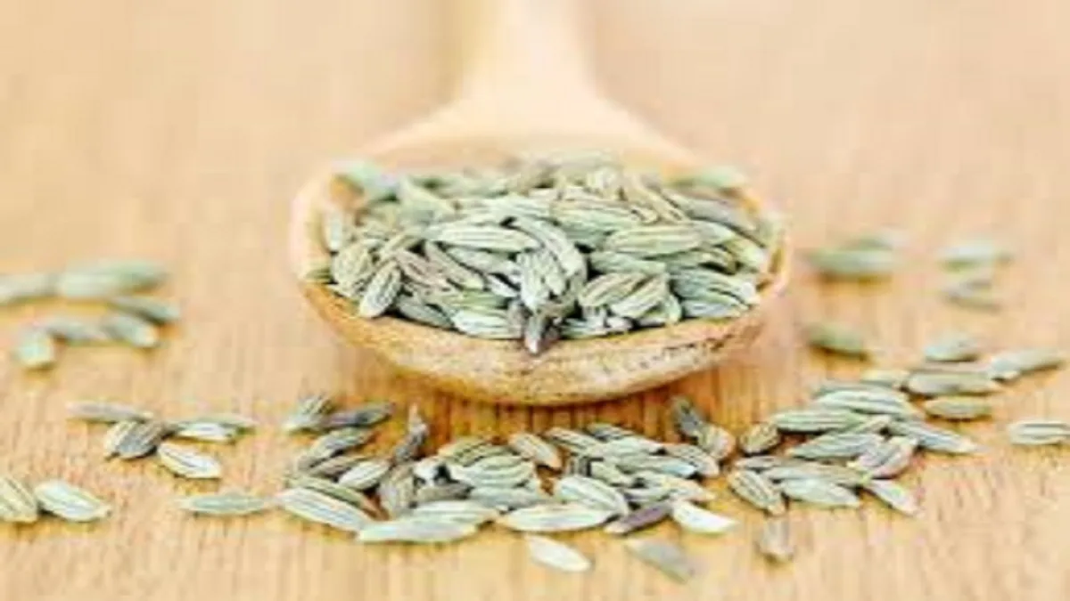 Fennel For Digestion And Gas