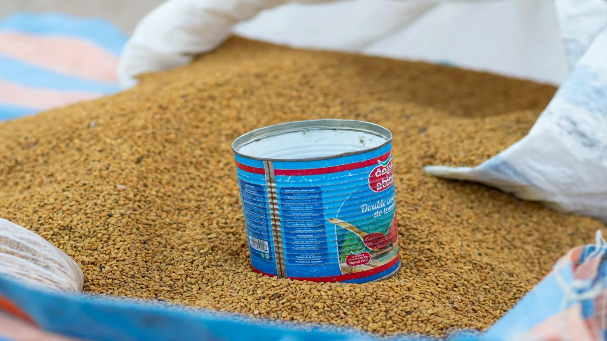 Fenugreek For Diabetes And Lactation