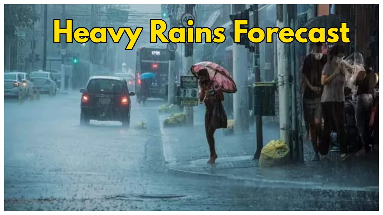 Weather Alert- Heavy Rains Forecast...