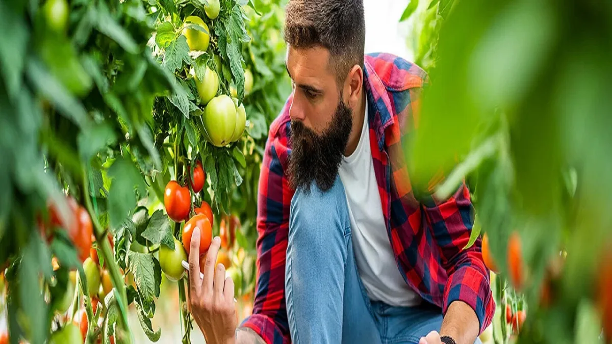 Is Organic Food Worth It A Look At Its Real Health Benefit