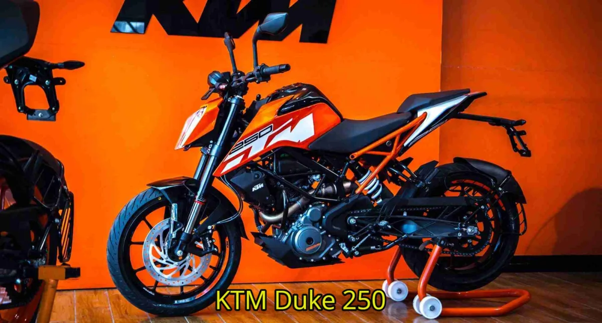 Ktm Duke 250 (1)