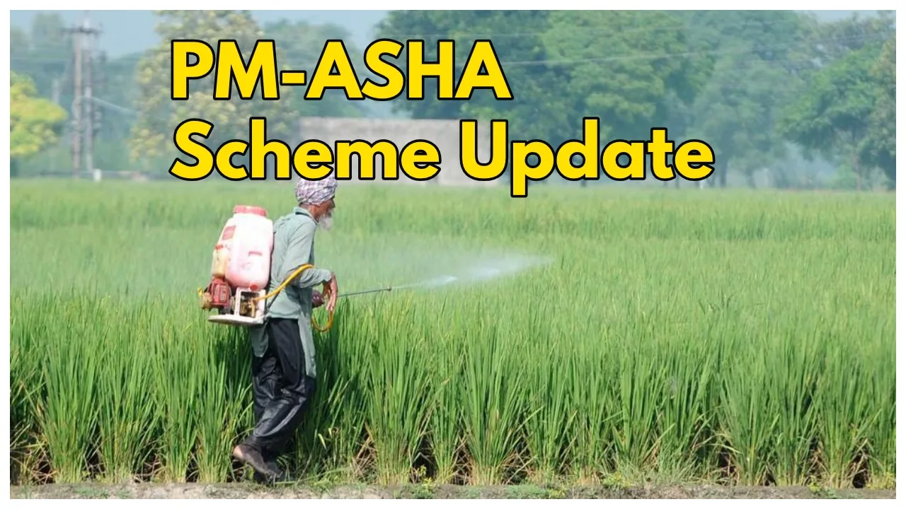 PM-ASHA Scheme-Modi Govt Allocates Rs...