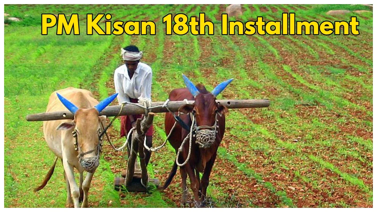 PM Kisan-When Will the