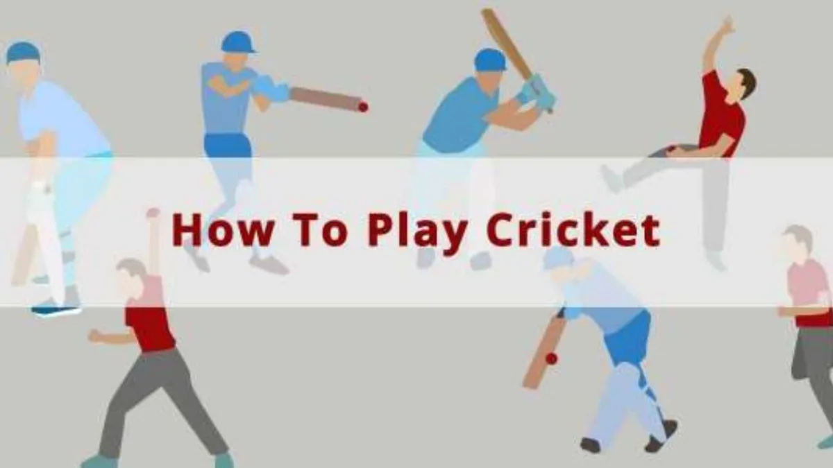 Play Cricket (2)