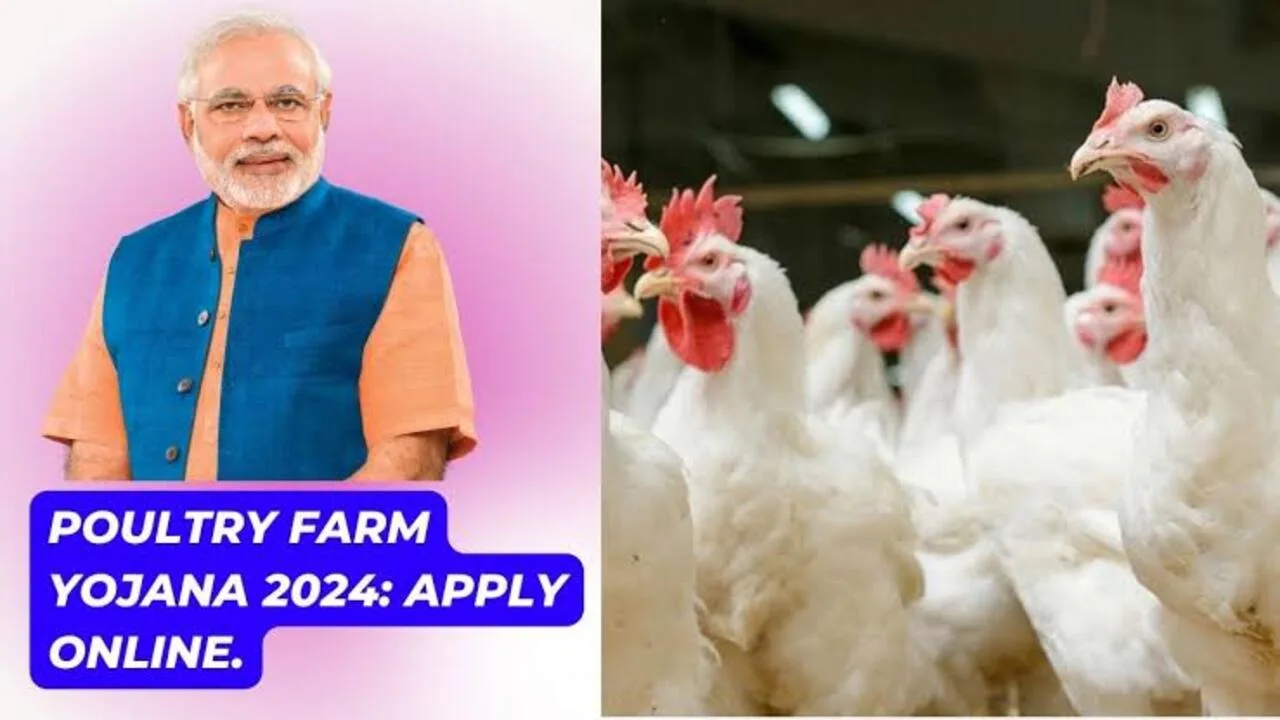 Poultry Farm Loan Subsidy Scheme...