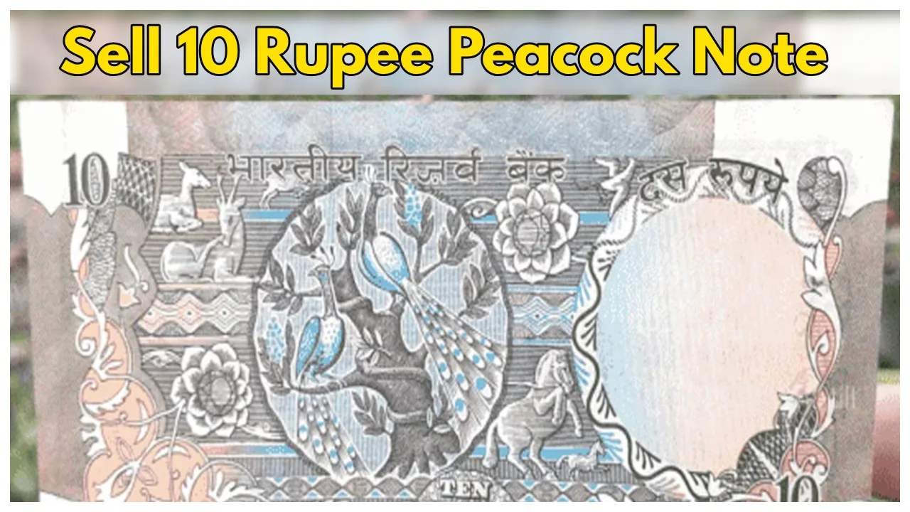 Rs 10 Peacock Note