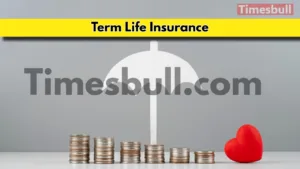 Term Life Insurance: A Comprehensive Guide to Understanding Coverage and Exclusions