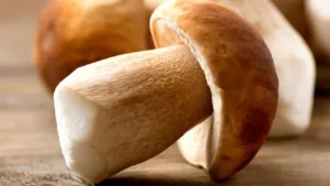 The Surprising Benefits of Sun-Drying Mushrooms Before Cooking