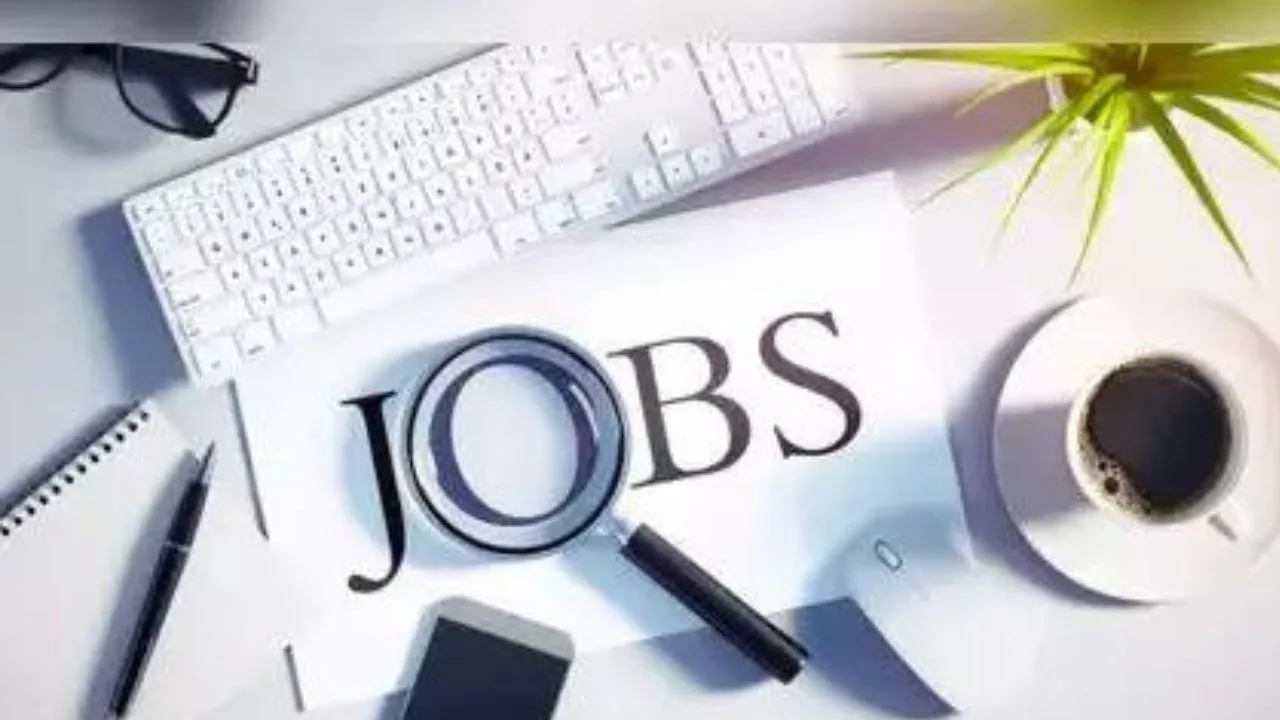 How to find a Job...