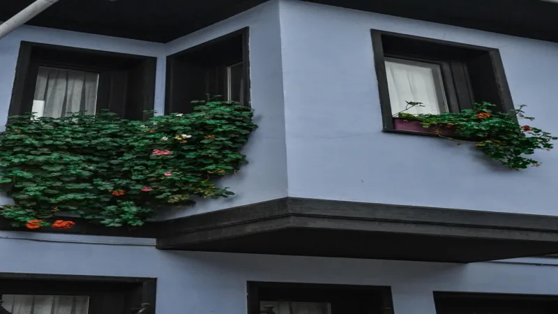 Urban Gardening Growing Your Own Food In The City