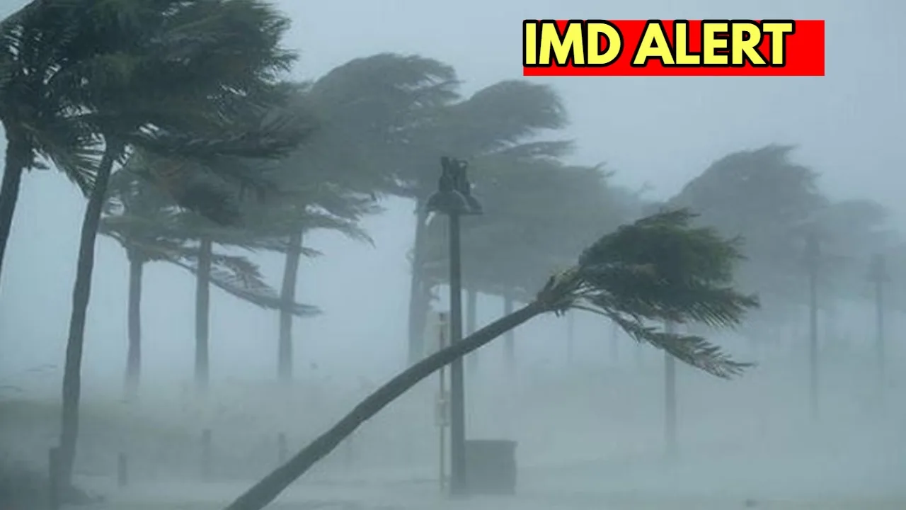 Monsoon Update: There will be...