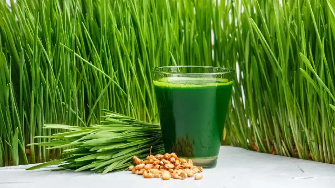 Wheatgrass Debate: Superfood Benefits or...