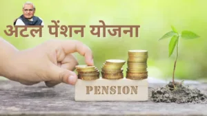 APY: Secure Your Future with Government-Supported Pension