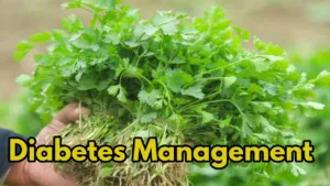 Boost Bone Health and Metabolism with Coriander