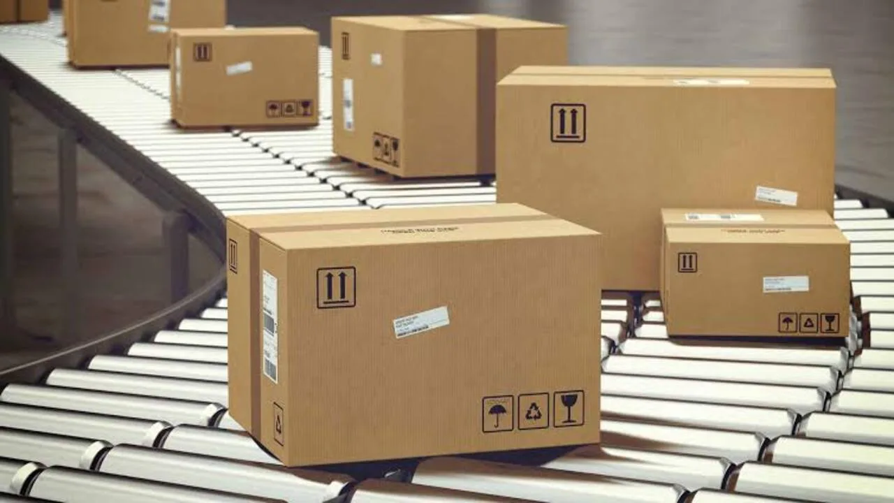 Cardboard Business (1)