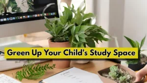 Lucky Plants: Boost Concentration and Mood with These Study-Friendly Plants