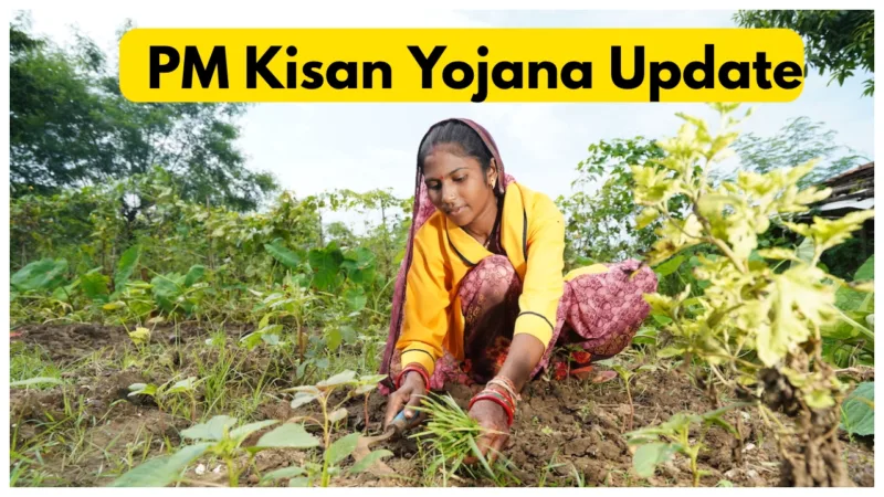 Pm Kisan Yojana