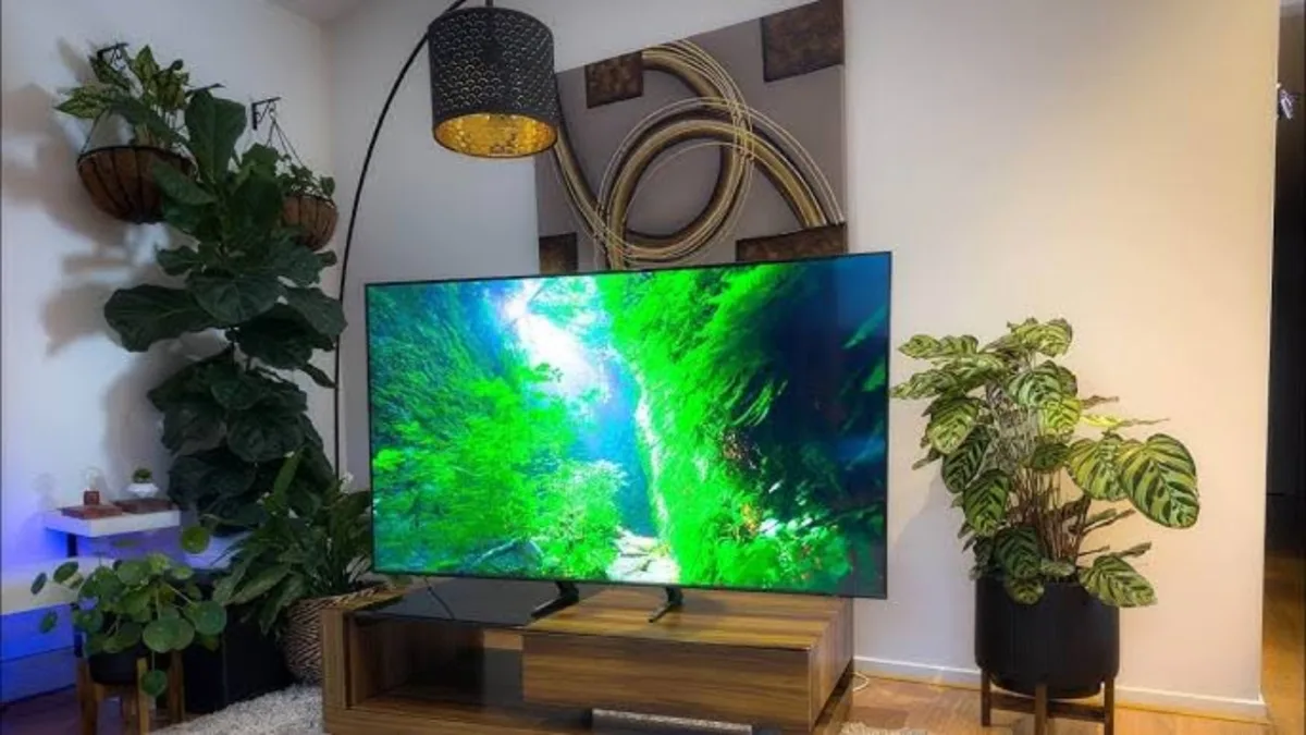 55 Inch Smart Tv