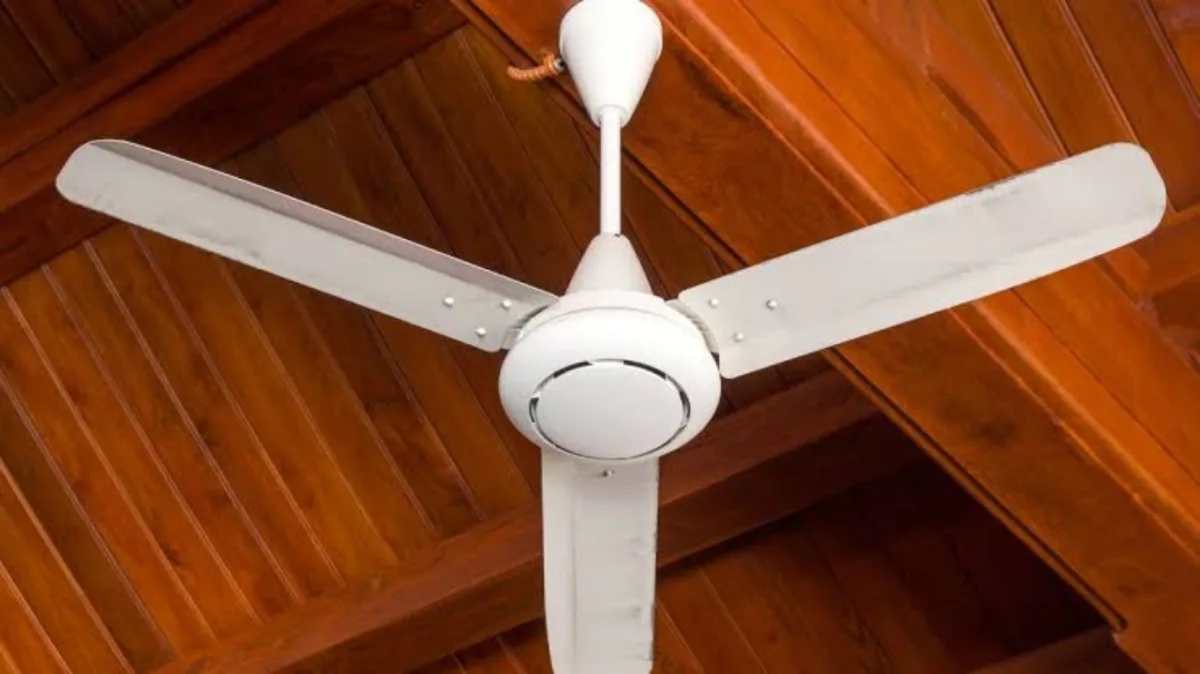 Ceiling Fans