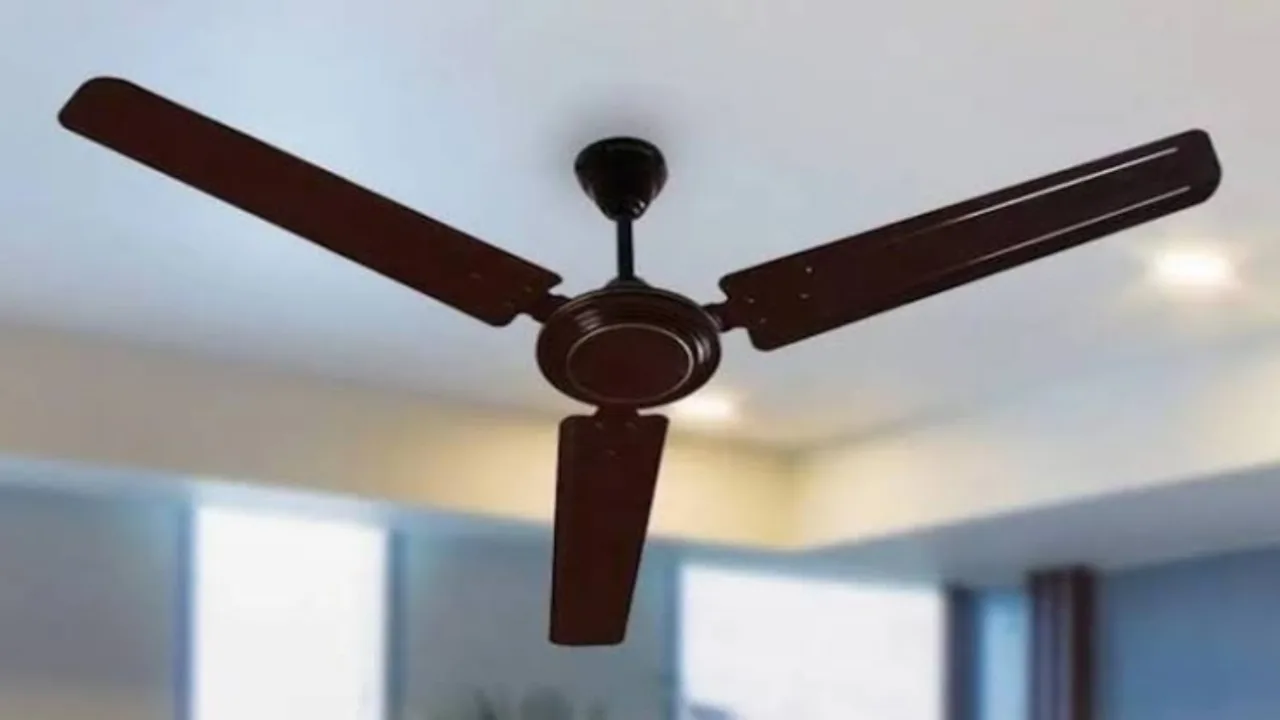Decorative Ceiling Fan Upto 30%...