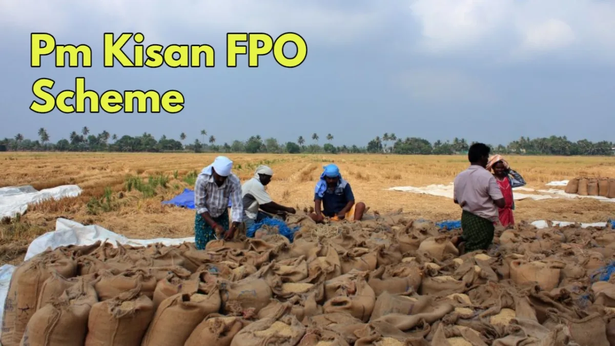 Fpo Scheme