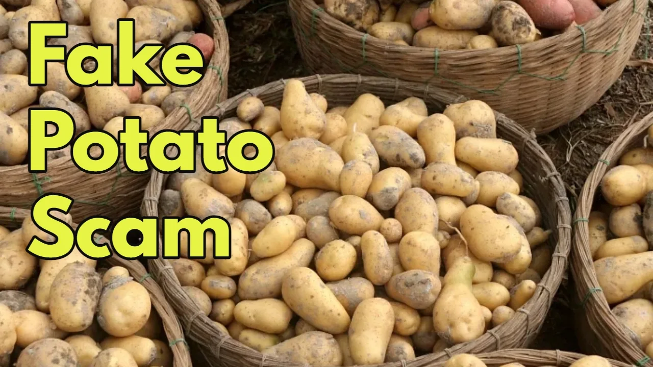 Fake Potato Scam Exposed: The...