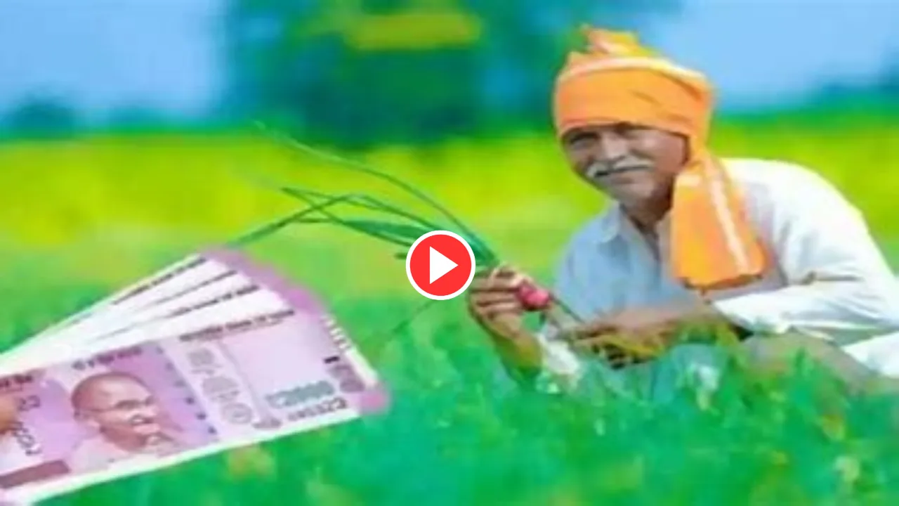 Watch Video: Government to release...