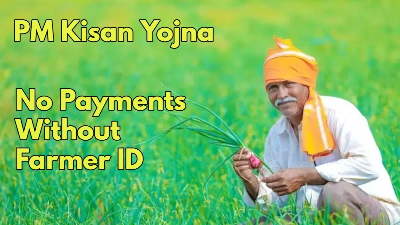 PM Kisan Yojana: No Benefits...