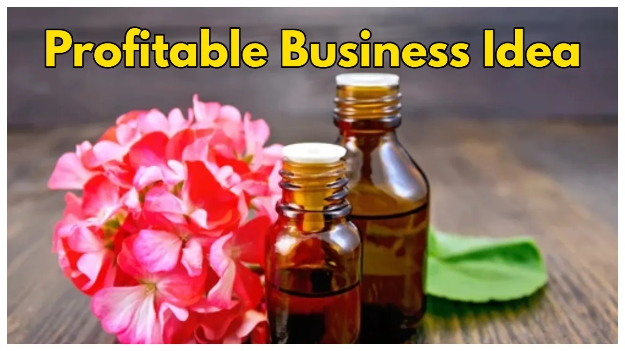 Business Idea – Geranium