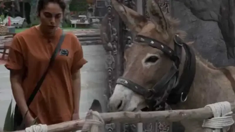 Salman Khans Bigg Boss 18 Removes Donkey 'gadhraj