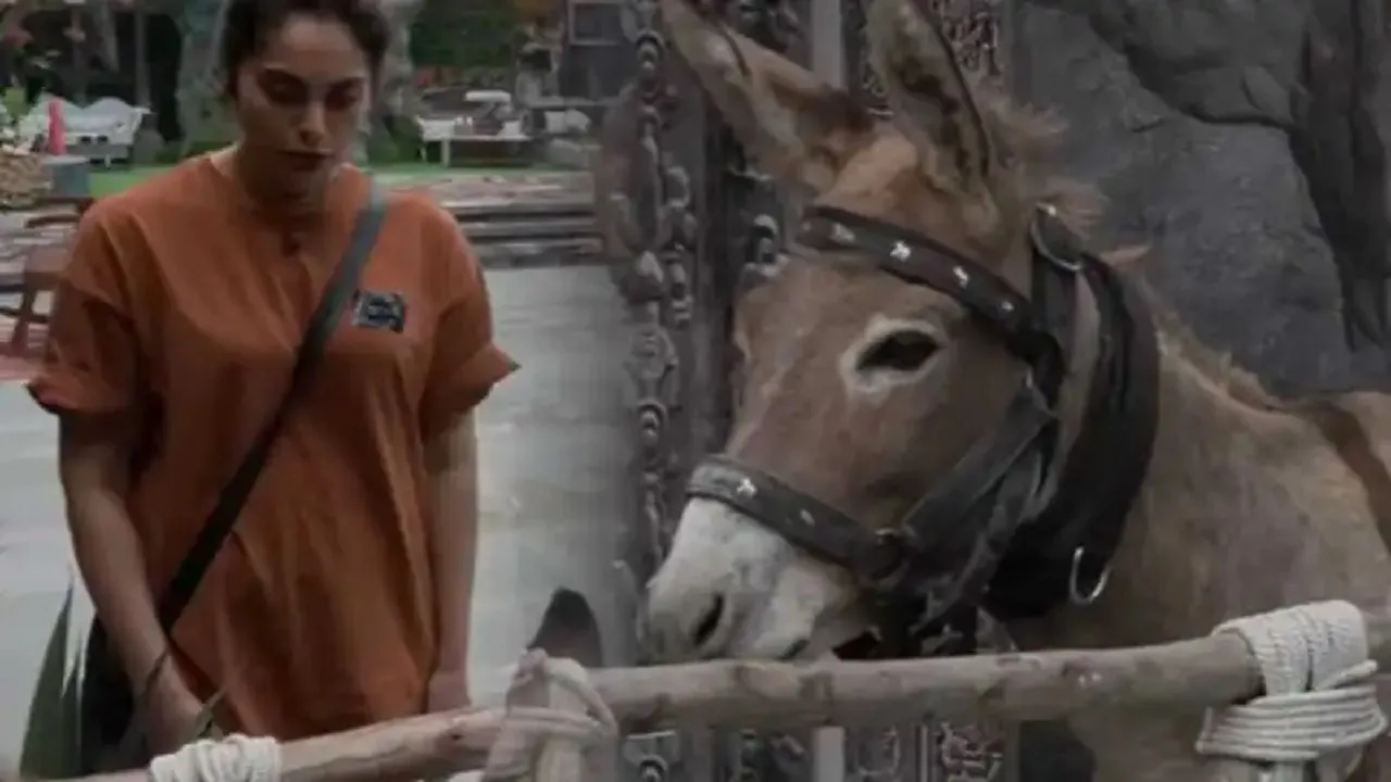 Salman Khan’s Bigg Boss