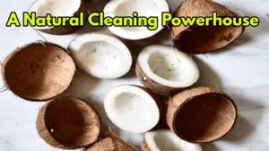 How to Use Coconut Peels for Eco-Friendly Cleaning