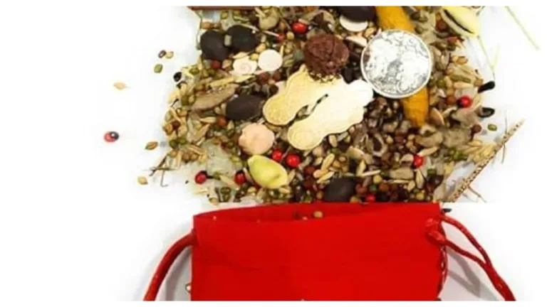 Diwali Money Totka – Use Ashoka Root and Cowrie Shells on Diwali Night!