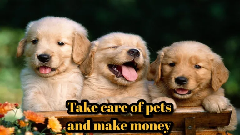 Business Idea: You can earn money by taking care of dogs and cats, Start this business by only investing 5000 rs