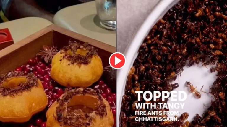 Mumbai Chef Experimental Panipuri Goes Viral, Food Lovers Got Angry After Watching The Video