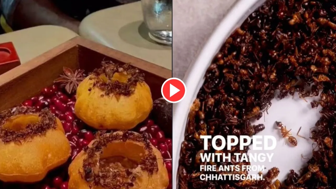 Mumbai Chef Experimental Panipuri Goes...