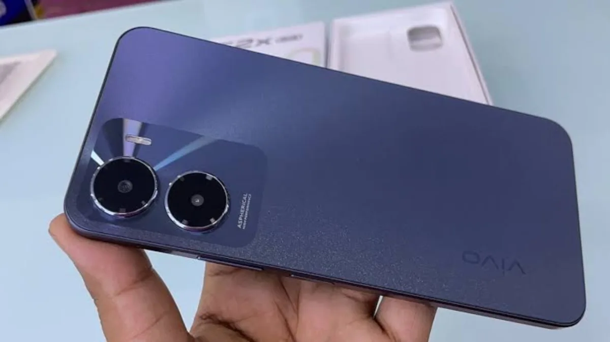 Vivo