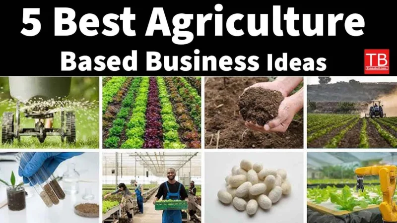 Businesses
