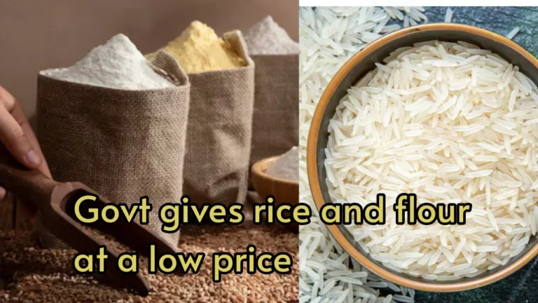 Again, Bharat brand launched; flour will be available at Rs 30 per kg; rice prices to be Rs 34 per kg