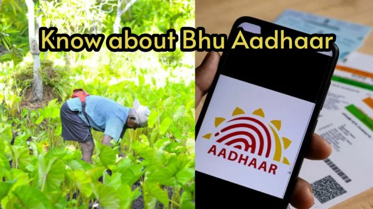 Bhu aadhar card: Now your land will also have an Aadhaar card; know how to make