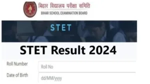 Bihar STET Result 2024 Out – Check result Now at secondary.biharboardonline.com