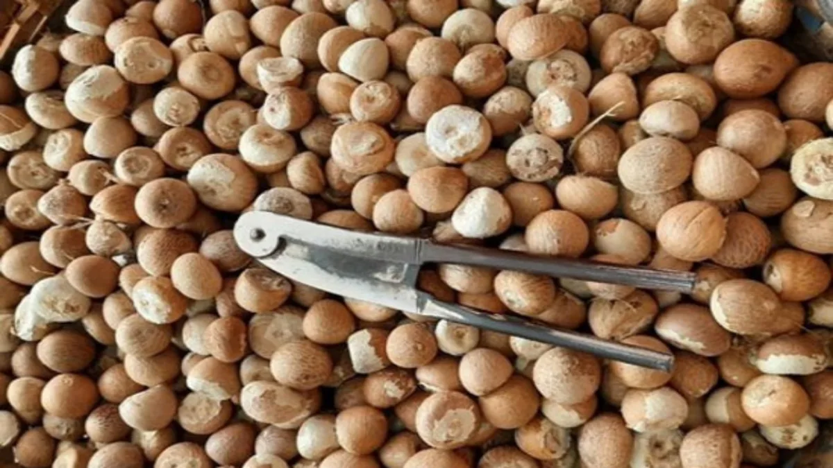 Business Nuts