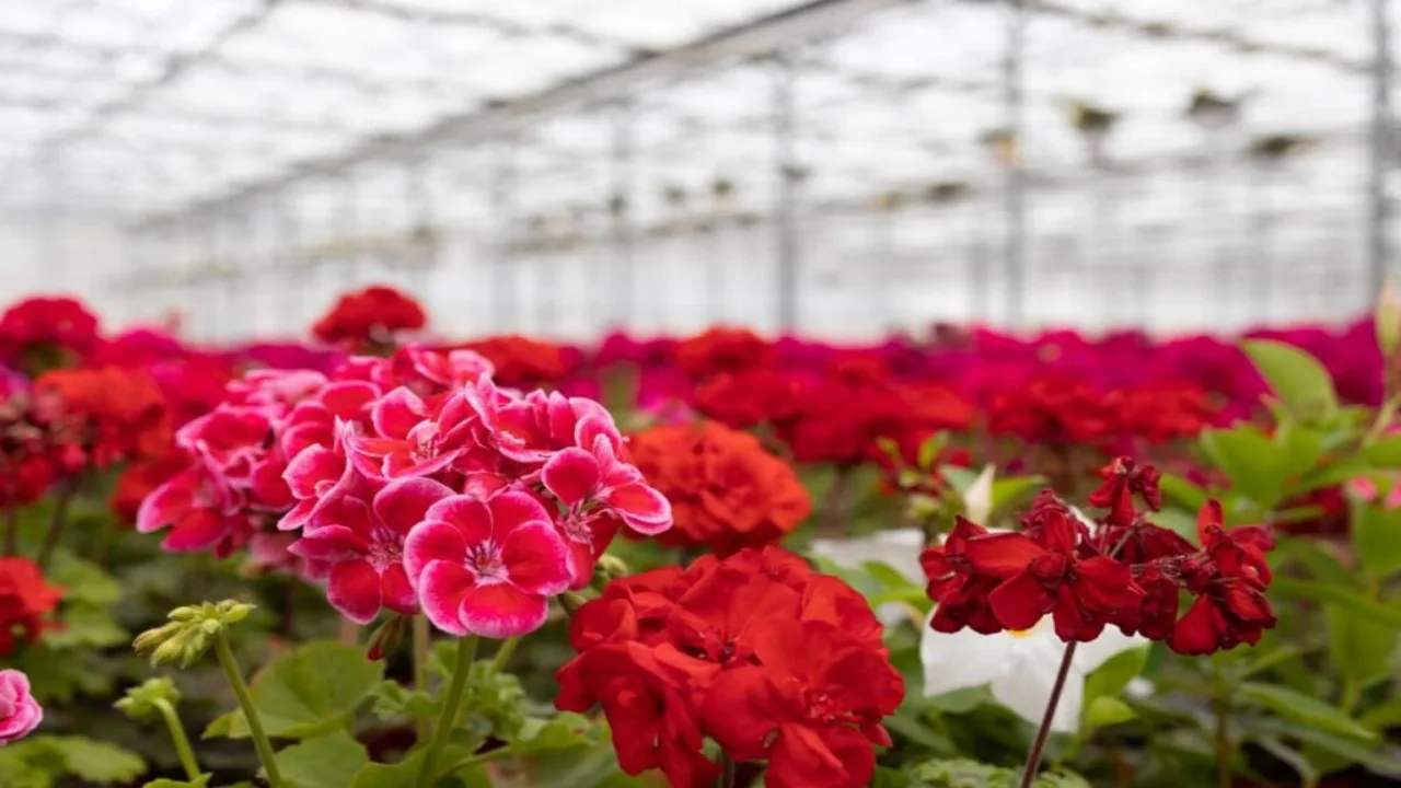 Business ideas: For good money...