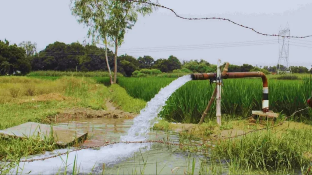 Govt Scheme: Through this scheme gets susidy up to 80%,  Apply today